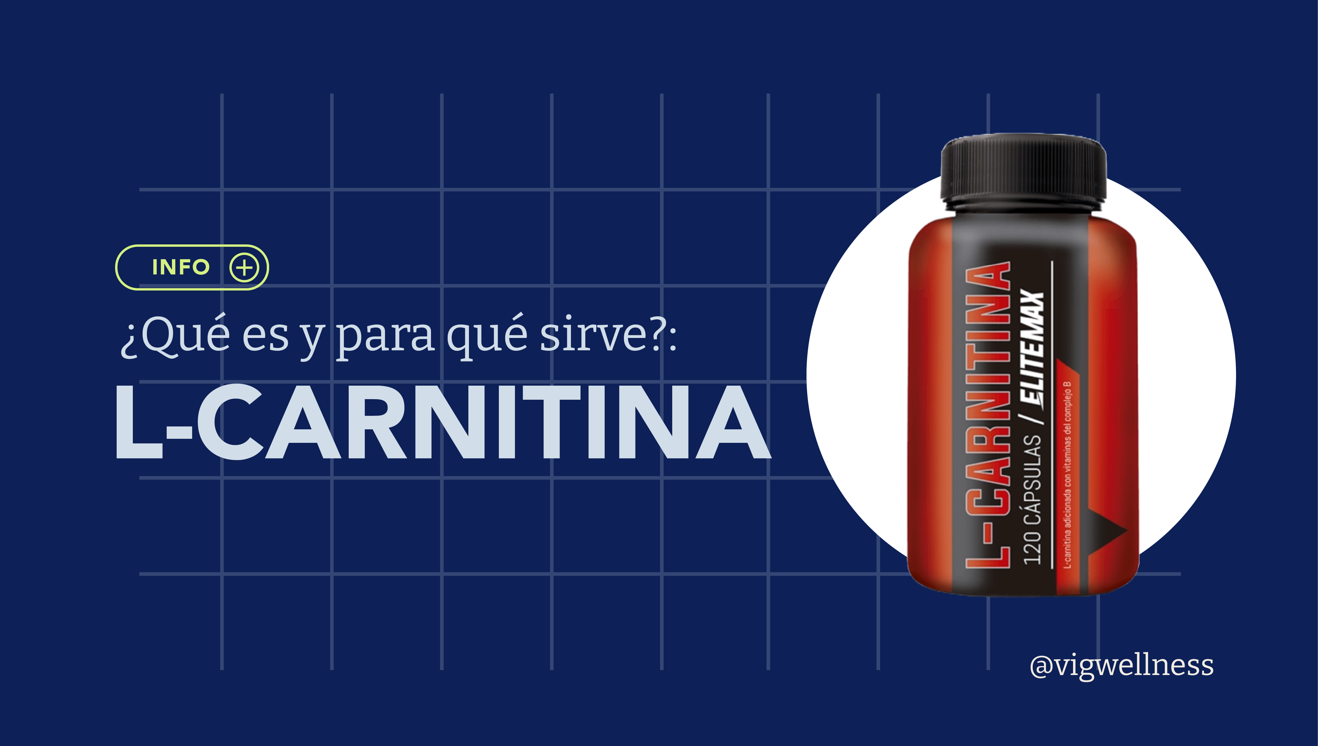 L-carnitina: Qu es y para que sirve? VIG L-carnitina: Qu es y para que sirve? VIG