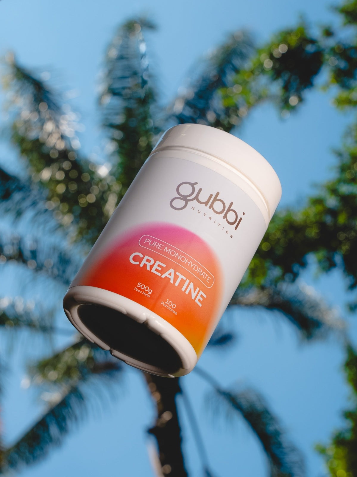 Gubbi Creatine - Creatina monohidratada 500gr / 100 servicios