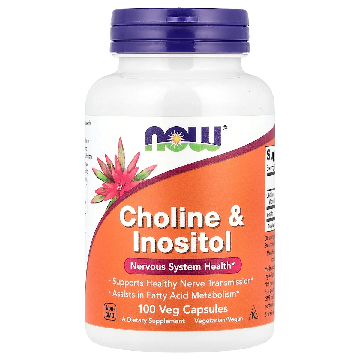 CHOLINE 250 MG + INOSITOL 250 MG X 100 CAP NOW