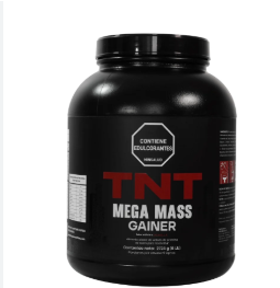 MEGA MASS GAINER 6 LB - TNT