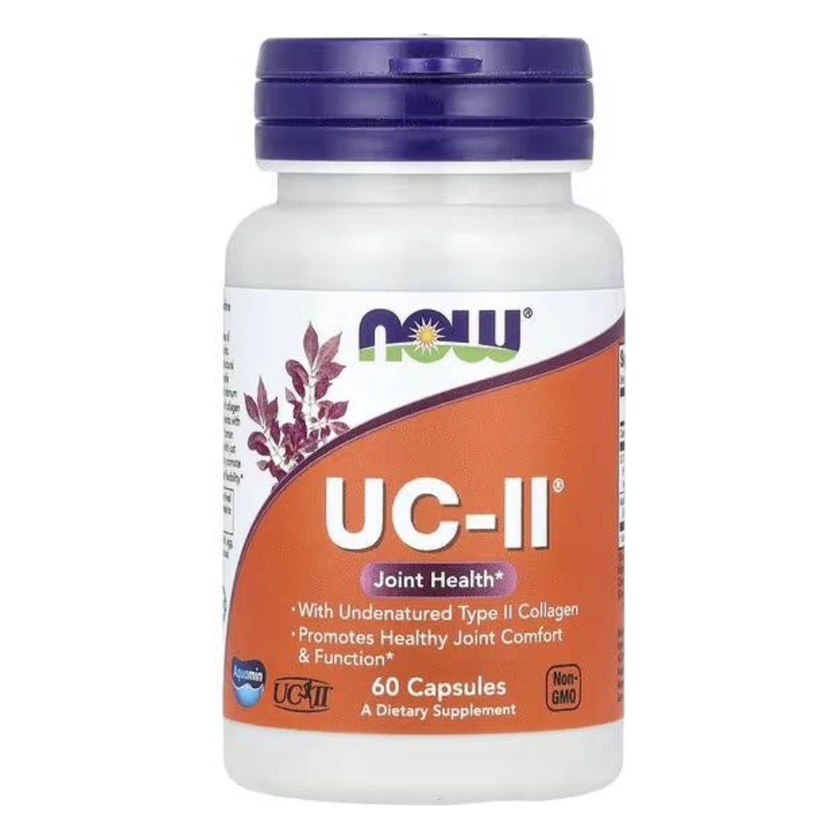 Collagen Uc-ii Type II 40 mg 60 caps NOW
