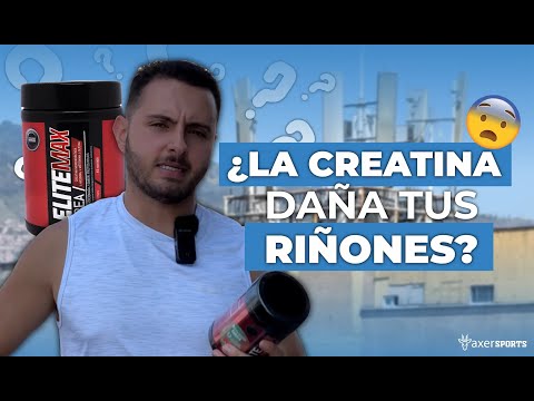 CREATINA DAÑA LOS RIÑONES